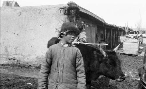 Boy with ox, actually boy standing in front of a man riding an ox