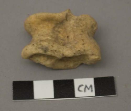 Faunal remain, Artiodactyla, (even toed ungulate), talus, right