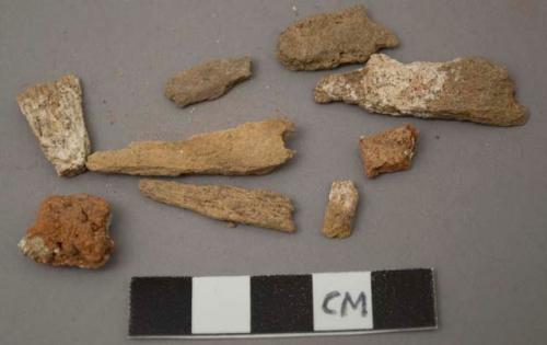 Bone fragments and dust