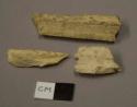 Animal bone fragments, possibly fossilized