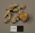 Animal bone fragments; animal tooth; ceramic, earthenware body sherd, undecorated; stones, likely non-cultural