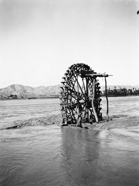 Irrigation wheel