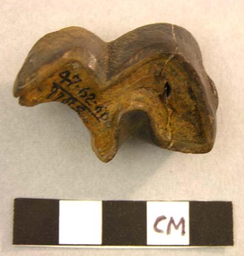 Fragment of Rhinoceros lower molar