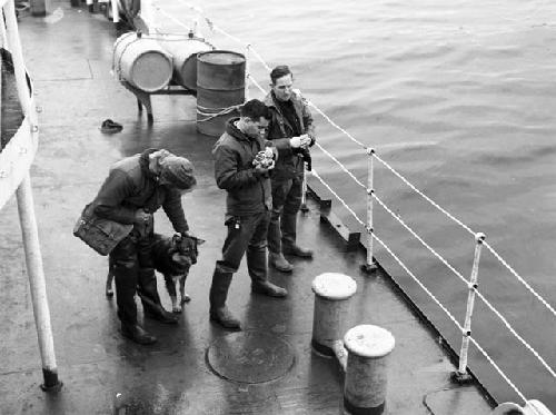 Members of expedition en route, on ship deck