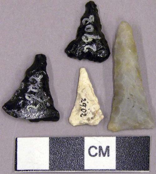 Stone projectile points