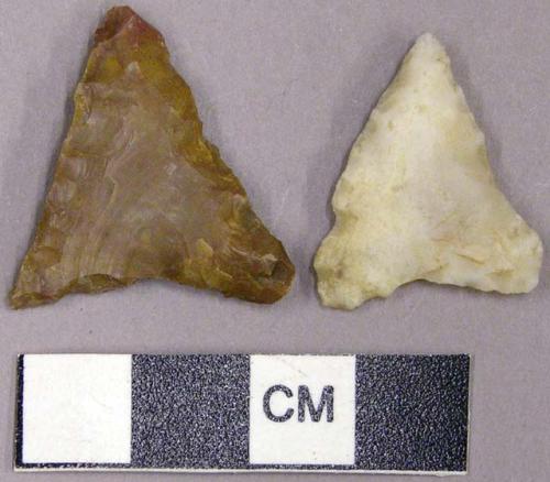 Stone projectile points