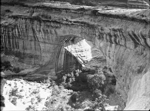 Natural Bridges National Monument