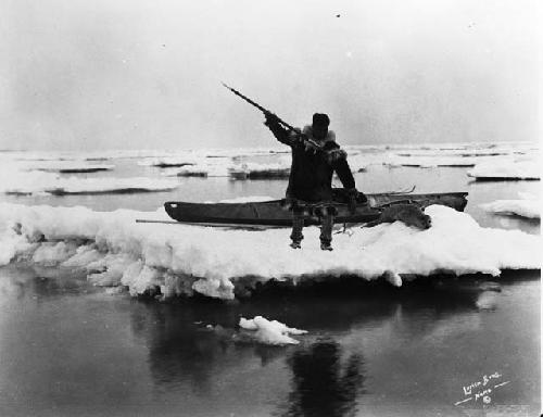 Eskimo man killing a seal