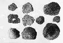 Corrugated potsherds, P II and III Levels - Various Sites