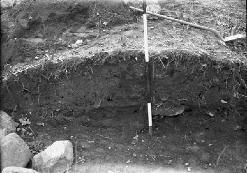 Trench 1 - South profile