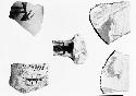 Black on white potsherds showing the rare and undeveloped zoomorphics of Pueblo