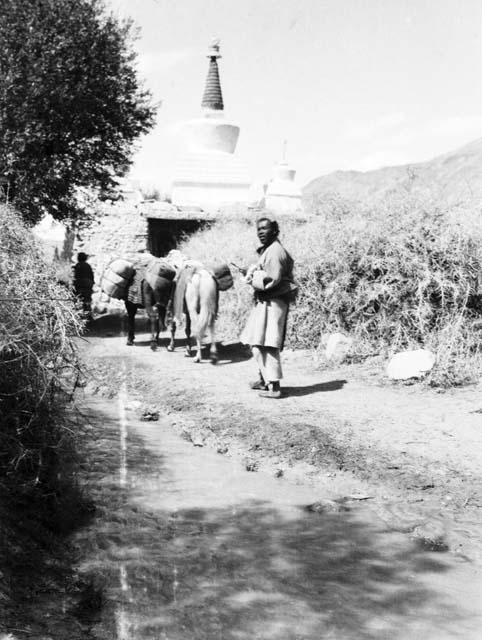 Caravan passing chorten at Heimis