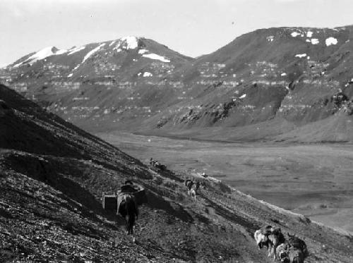 Descending Karakorum Pass, loaded horses