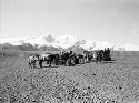 Caravan halted Karakorum Pass