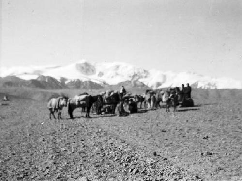 Caravan halted Karakorum Pass