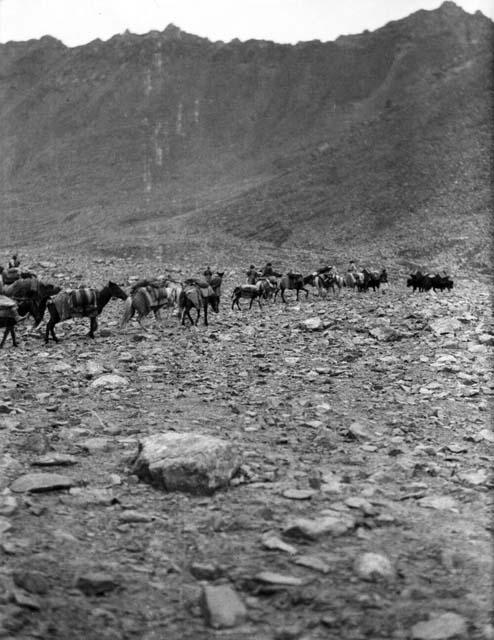 Caravan approaching Sanju Davan