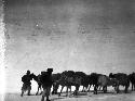 Caravan on summit of Suget Pass