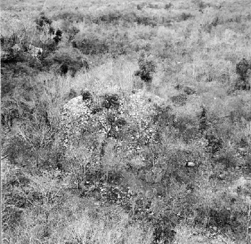 View of mound 19 with mound 21 (or 20) in left background