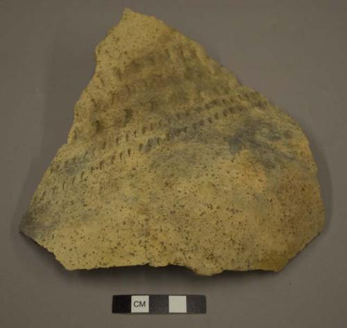 Sherd