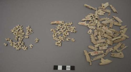 Small animal bones, perforated