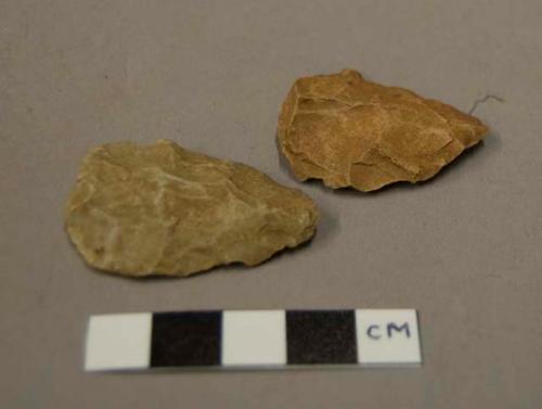 Leaf-shaped stone blades