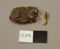 Wood fragment; ceramic, earthenware body sherd, grit-tempered, undecorated, burned