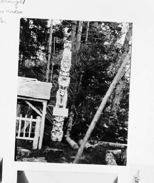 Totem poles, Kwakwaka’wakw, Tlaoitsis