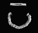 Necklace of dolphin teeth