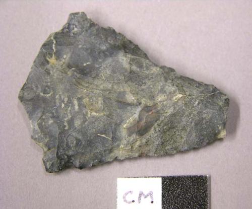 Projectile point