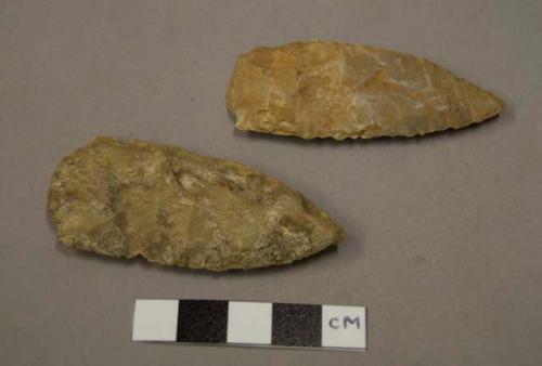 Large ovate stone points or knife blades