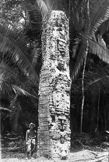 Sylvanus G. Morley at Quirigua, Guatemala beside Stela F