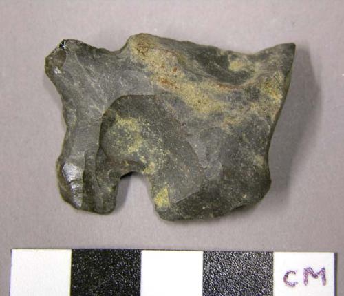 Projectile point