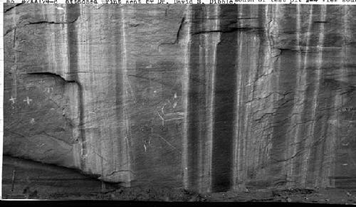 Petroglyph on cliff above and south of test pit F-4 view south