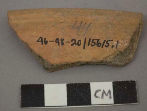 Ceramic rim sherd