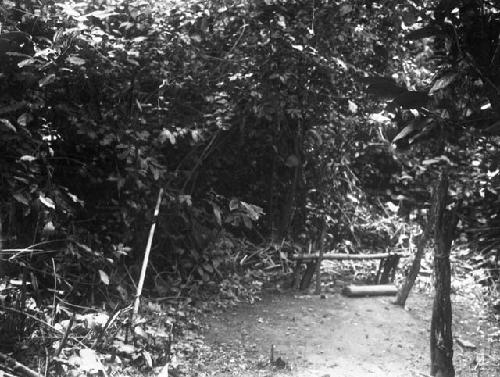 Village toilet in bushes, Sapo, Pudu clan