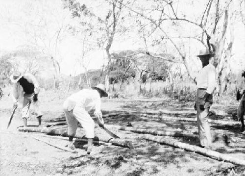 House building 1, preparation of patio for corner posts and frame, sawing log