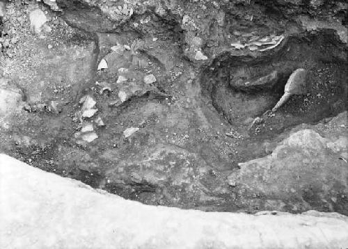 Exploratory Pit 7, Grave 1 showing exposed stingray spines and sherd deposits