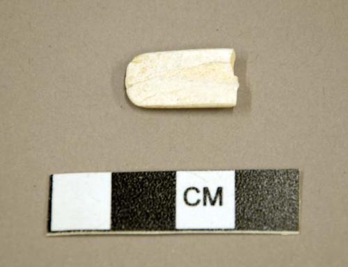 Fragment of worked bone