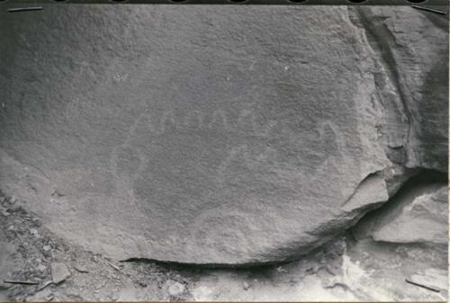 Chandler Canyon 1/2 mile above Greene river. pecked lines and circles L-31-13-30