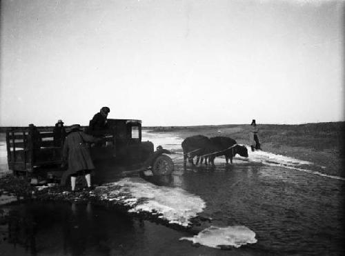 Couple of ox pulling truck from frozen river, several people standing around