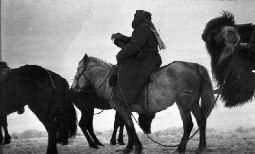 Kazak (Qazaq) women on horse with small child in her lap pulling a camel behind