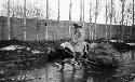 Sledge in flooded street, man on an ox dragging bundles of grass