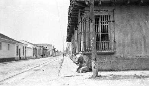 Rubio Caballo en el Calle del Caballo