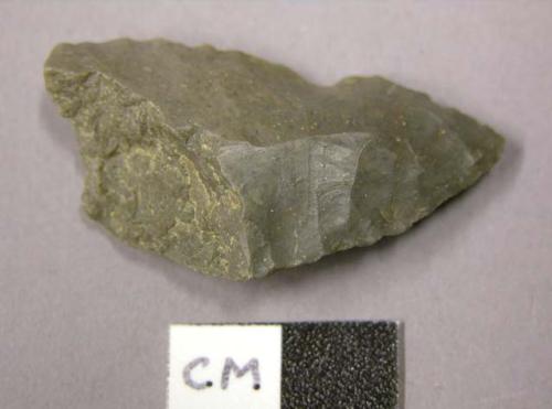 Projectile point