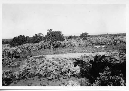 Refuse mound cleared for excavation