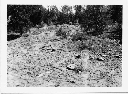 Houses before excavation