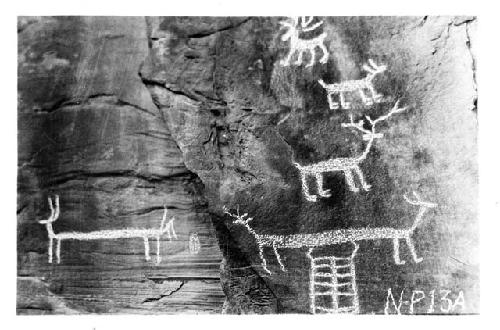 Petroglyph, animal figures