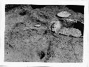 Photo of Kiva; firepit; showing settling of floor around "channels."