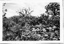 Photo of Large pueblo between Ab 7-1 + Ab 7-2 Oct 1939