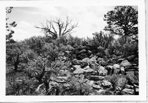 Photo of Large pueblo between Ab 7-1 + Ab 7-2 Oct 1939